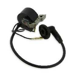 Stock Ignition for Motorized Scooter (type2)