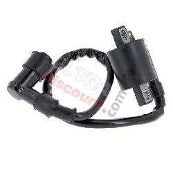Ignition Coil for PW50