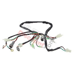 Wire Harness for Yamaha PW50
