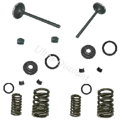 Valve Kit for ATV Shineray Quad 250cc ST-9E, Shineray Parts ATV 250 STIXE ST9E