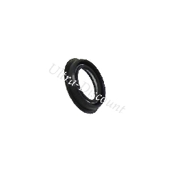 Oil Seal for Chinese Motor Scooter (20x30x33.5x6)