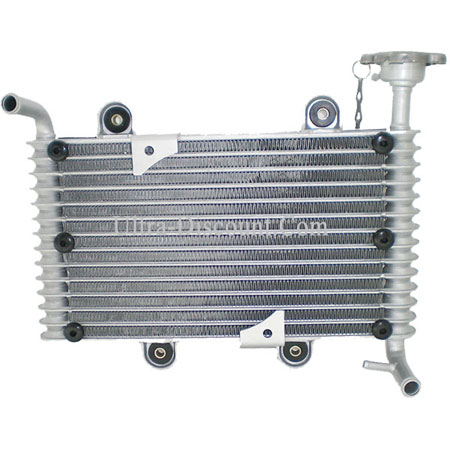 Radiator for ATV Bashan Quad 200cc (BS200S-7) Bilder 1